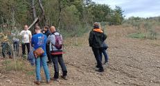 Visual Soil Quality Assessment workshop in olive orchard