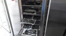 Microalgae drying process (18.7.2024)