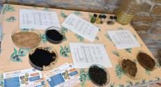 Main components of the soil improver (10.10.2024)