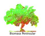 Biomasa Peninsular S.A (Spain)